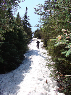 snowpacked-trail-may-2009
